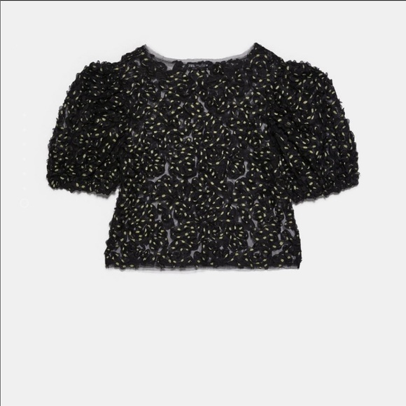 LAST ONE💥Zara NWT tulle top with metallic thread - Picture 5 of 5